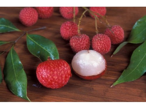 Agromarket hellas Kolovos Λίτσι (Litchi) margotta 1/10